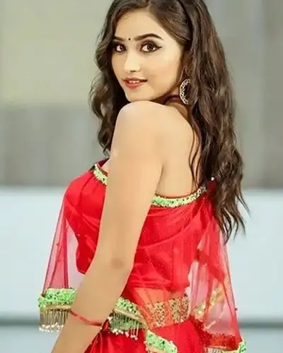 Escort In Thanagazi